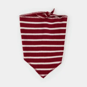 Bandana pour chien à rayures rouge écarlate