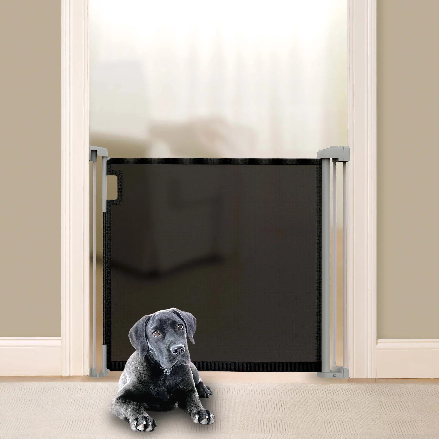 Barrière rétractable Thruway série 52W™ – Image 5