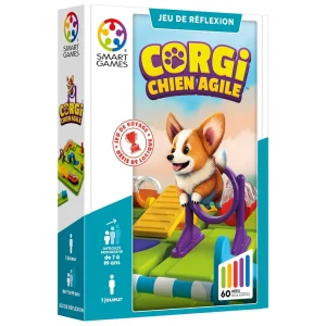 Corgi, chien agile