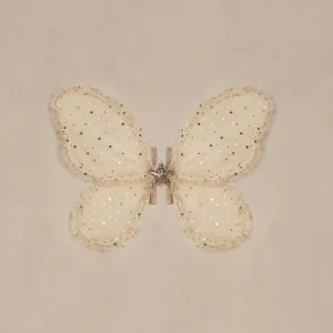 Ailes Étoiles Champagne